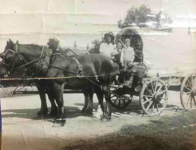 IMG_3707 german wagon