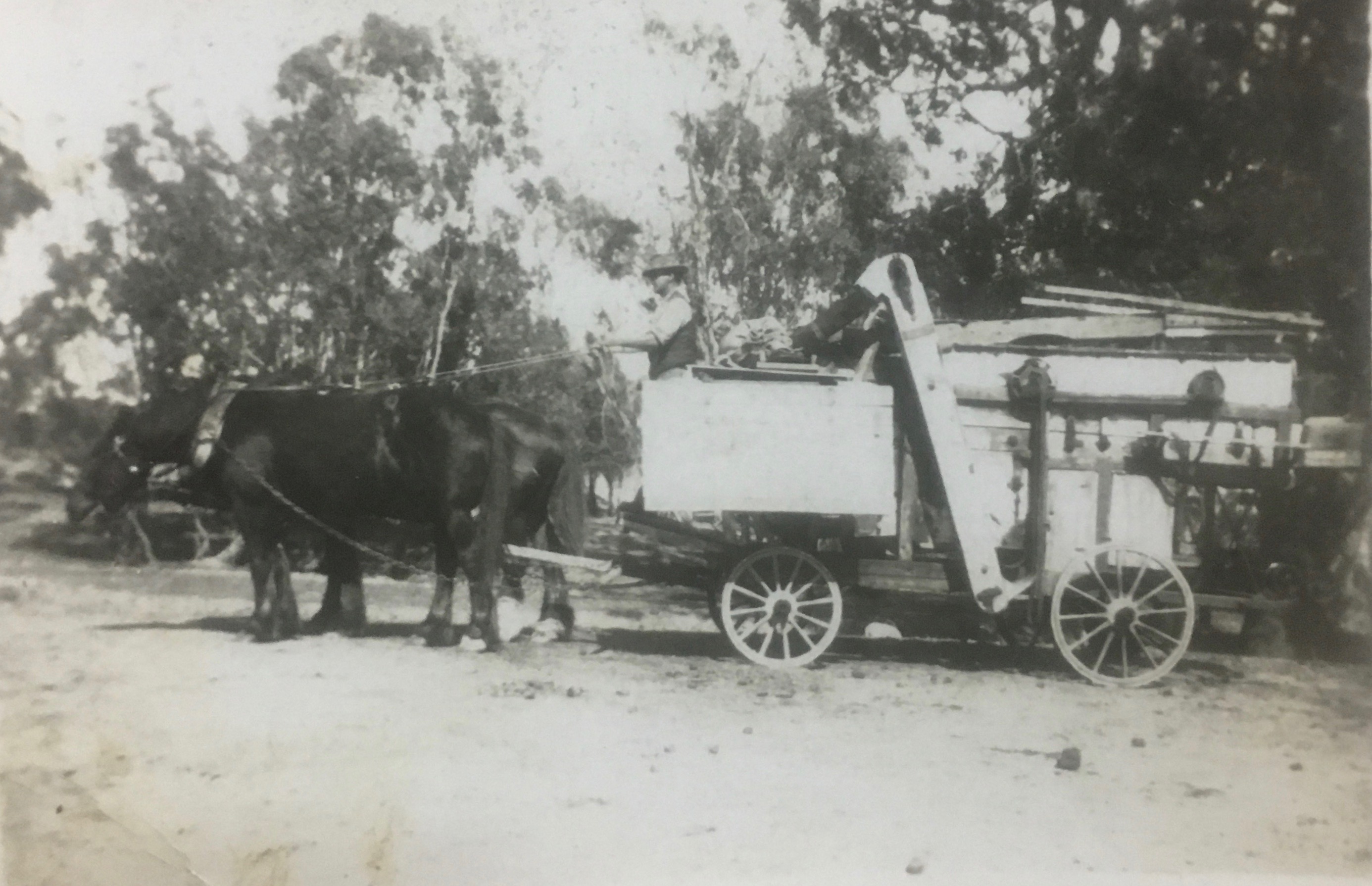 IMG_3714 treshing machine