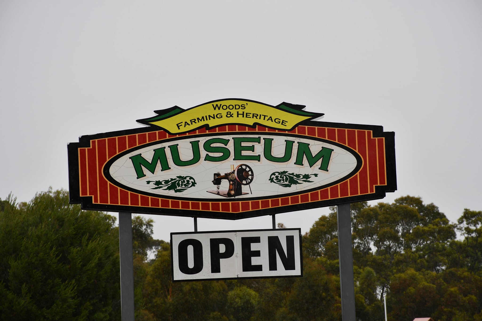 133737859_4238334562848781_5390242339626991818_n